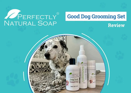 See Why Dogster Calls Our Good Dog Kit a Must-Have for Pup Parents