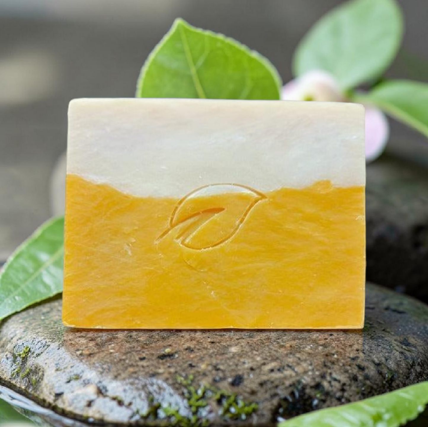 Coconut lemongrass natural handmade bar soap 4 oz seasonal, tropical citrus coconut scented soap bar